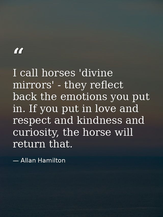 I call horses 'divine mirrors' - they reflect back the emotions you put in. If you put in love and respect and kindness  — Allan Hamilton