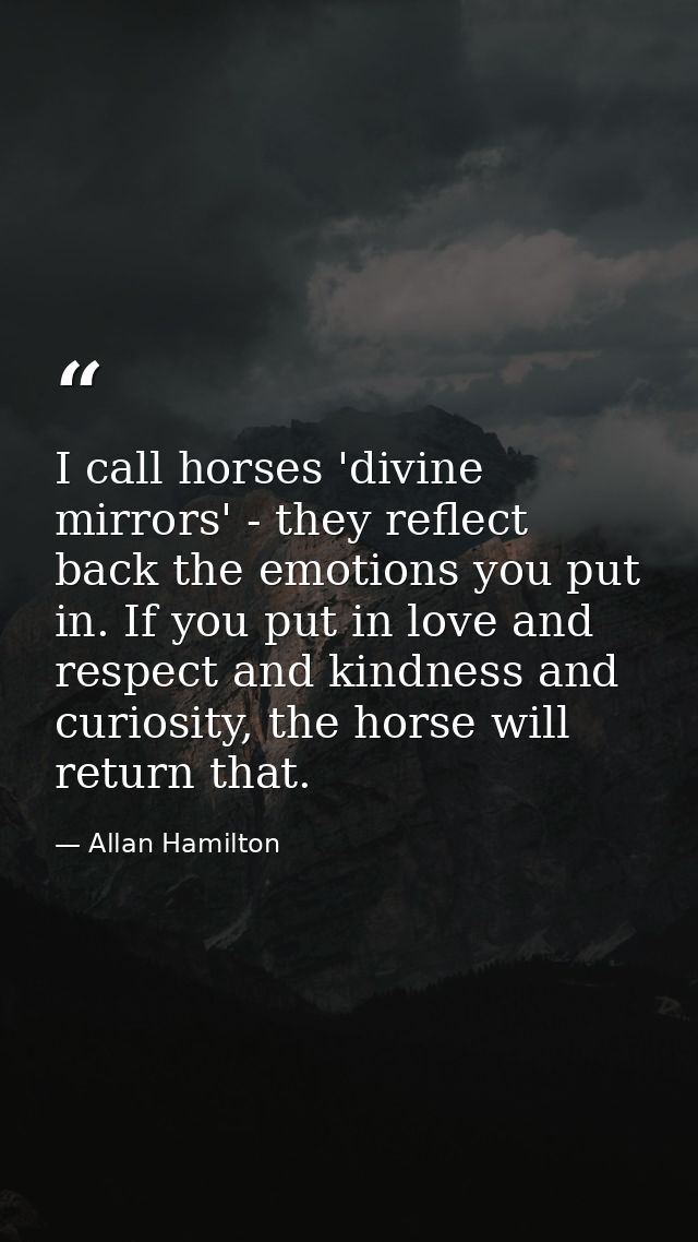 I call horses 'divine mirrors' - they reflect back the emotions you put in. If you put in love and respect and kindness  — Allan Hamilton