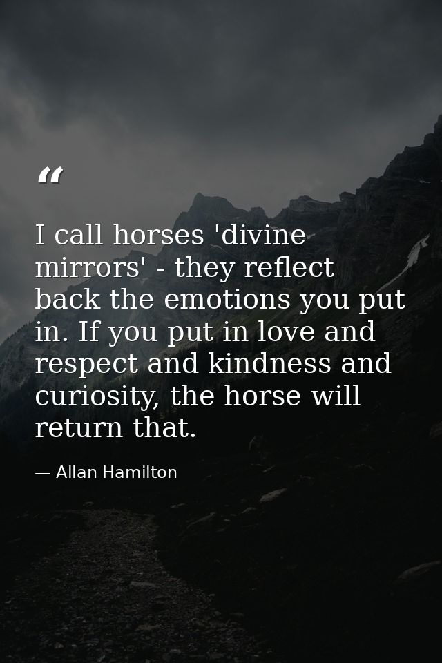 I call horses 'divine mirrors' - they reflect back the emotions you put in. If you put in love and respect and kindness  — Allan Hamilton