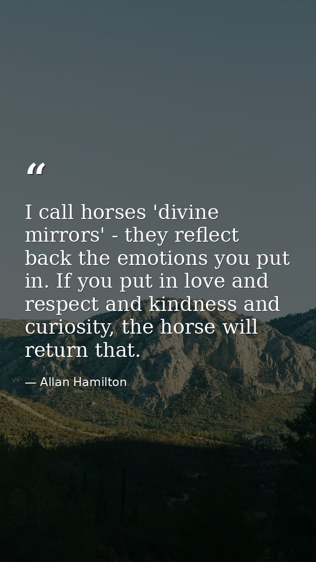 I call horses 'divine mirrors' - they reflect back the emotions you put in. If you put in love and respect and kindness  — Allan Hamilton