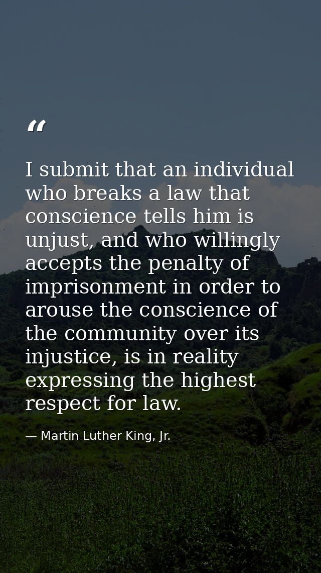I submit that an individual who breaks a law that conscience tells him is unjust, and who willingly accepts the penalty  — Martin Luther King, Jr.