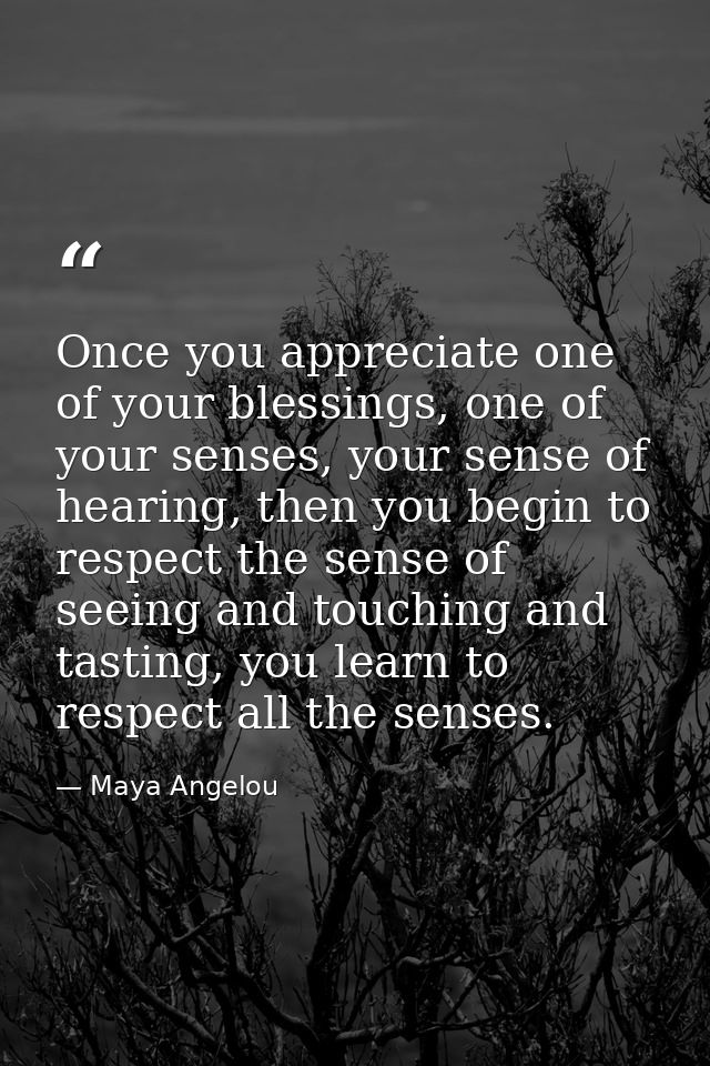 Once you appreciate one of your blessings, one of your senses, your sense of hearing, then you begin to respect the sens — Maya Angelou
