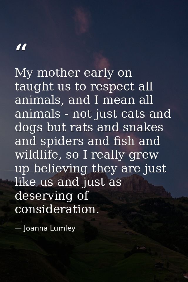 My mother early on taught us to respect all animals, and I mean all animals - not just cats and dogs but rats and snakes — Joanna Lumley
