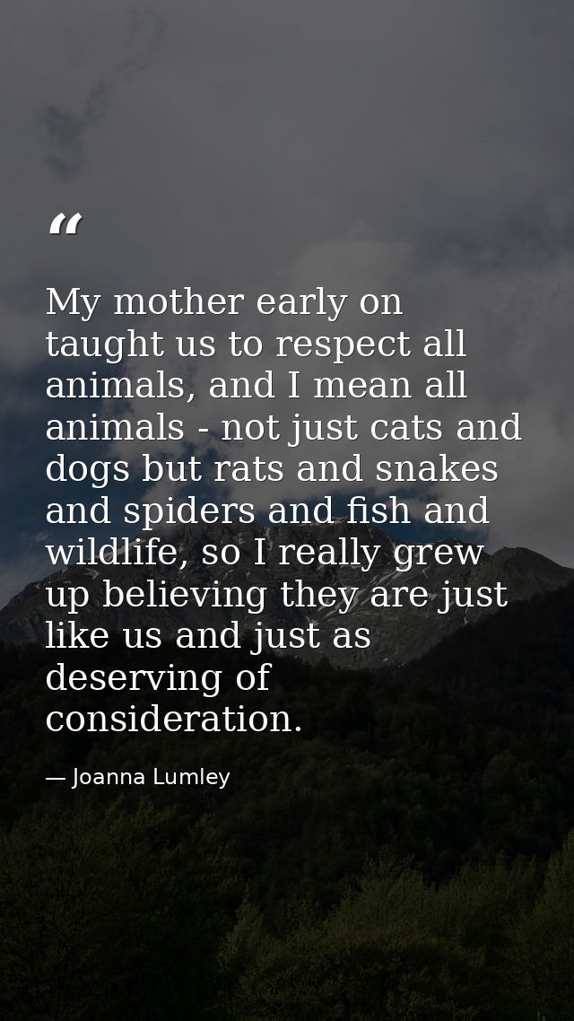 My mother early on taught us to respect all animals, and I mean all animals - not just cats and dogs but rats and snakes — Joanna Lumley