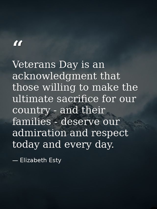 Veterans Day is an acknowledgment that those willing to make the ultimate sacrifice for our country - and their families — Elizabeth Esty