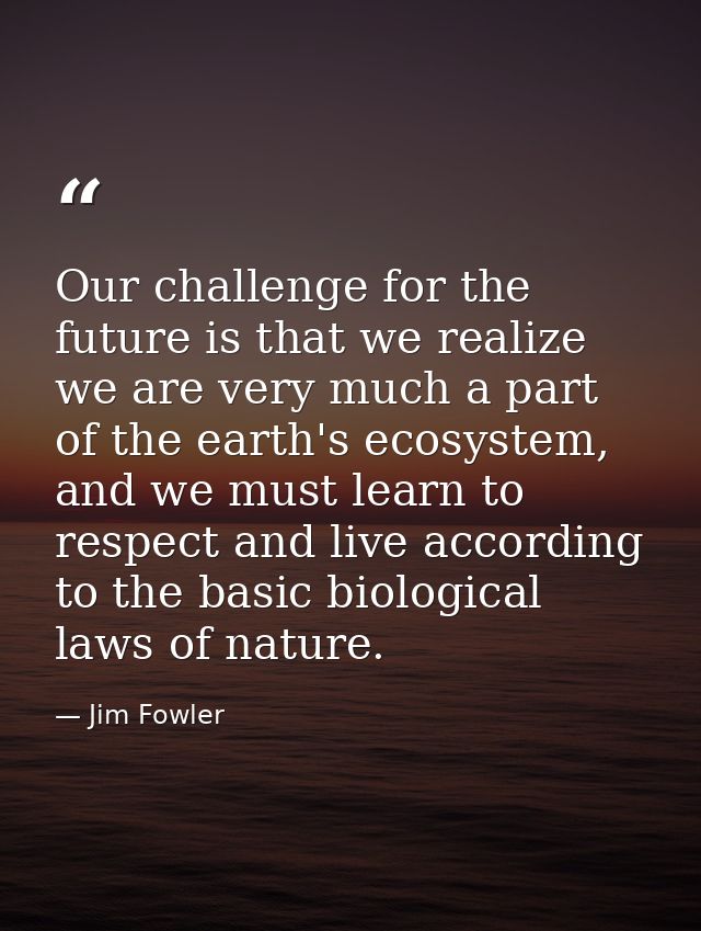 Our challenge for the future is that we realize we are very much a part of the earth's ecosystem, and we must learn to r — Jim Fowler