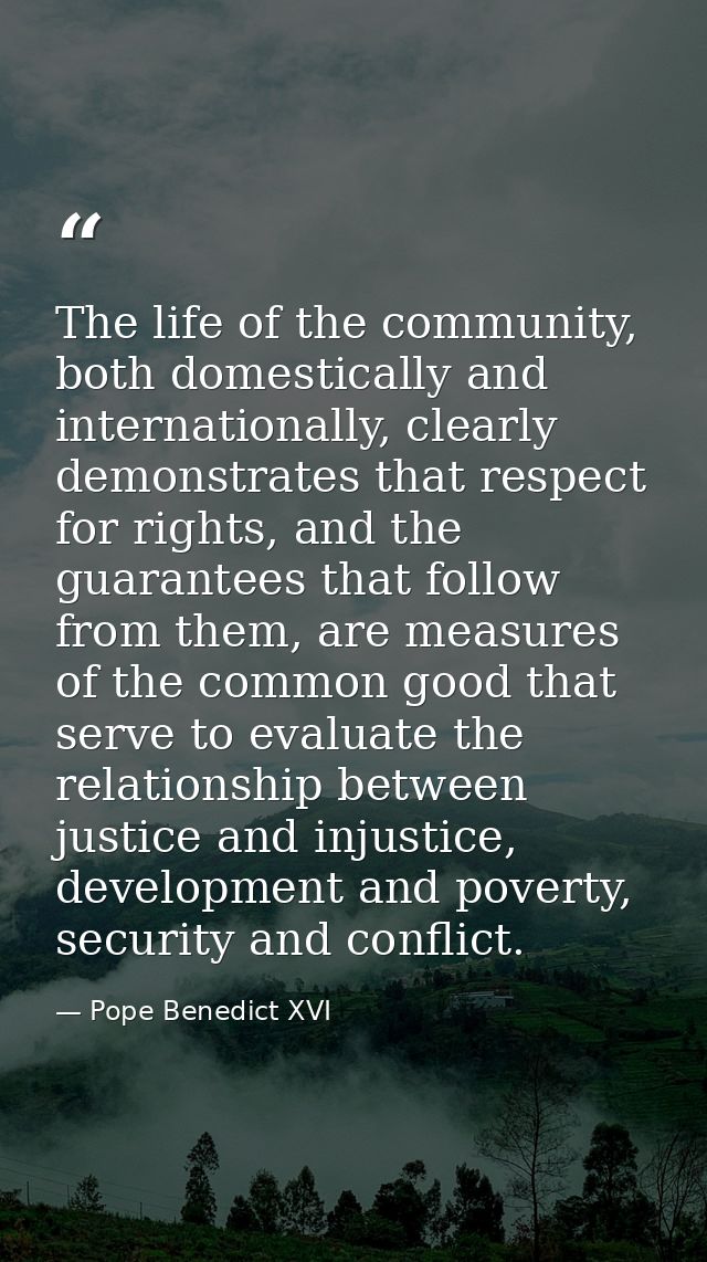 The life of the community, both domestically and internationally, clearly demonstrates that respect for rights, and the  — Pope Benedict XVI