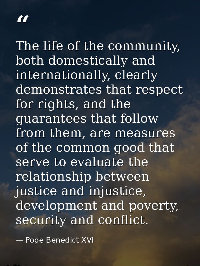 The life of the community, both domestically and internationally, clearly demonstrates that respect for rights, and the  — Pope Benedict XVI