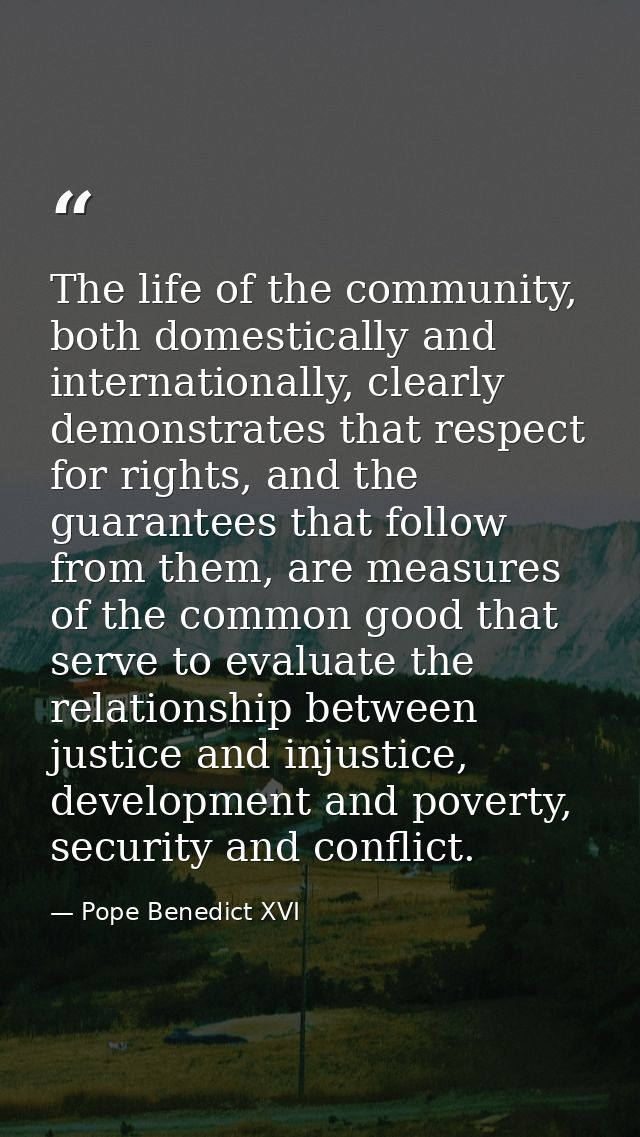 The life of the community, both domestically and internationally, clearly demonstrates that respect for rights, and the  — Pope Benedict XVI
