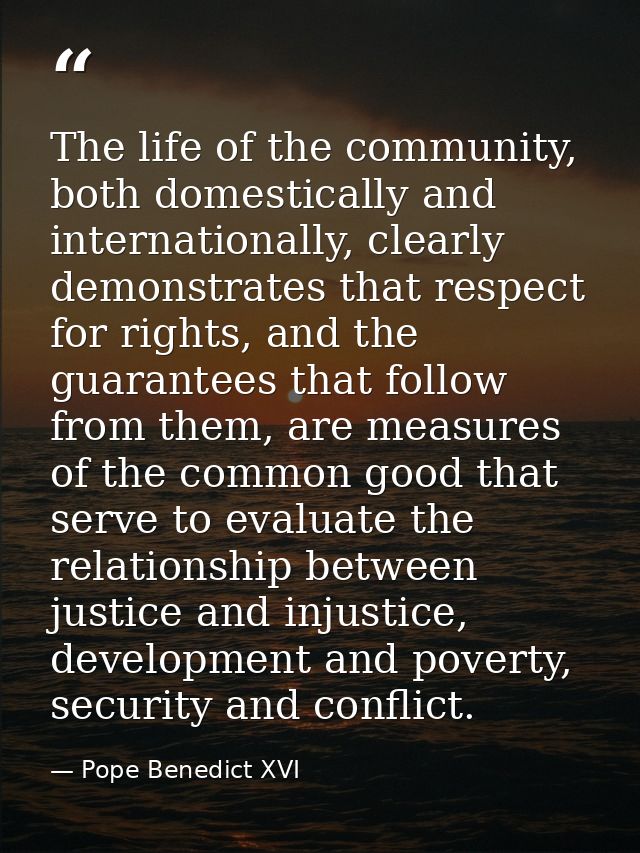 The life of the community, both domestically and internationally, clearly demonstrates that respect for rights, and the  — Pope Benedict XVI