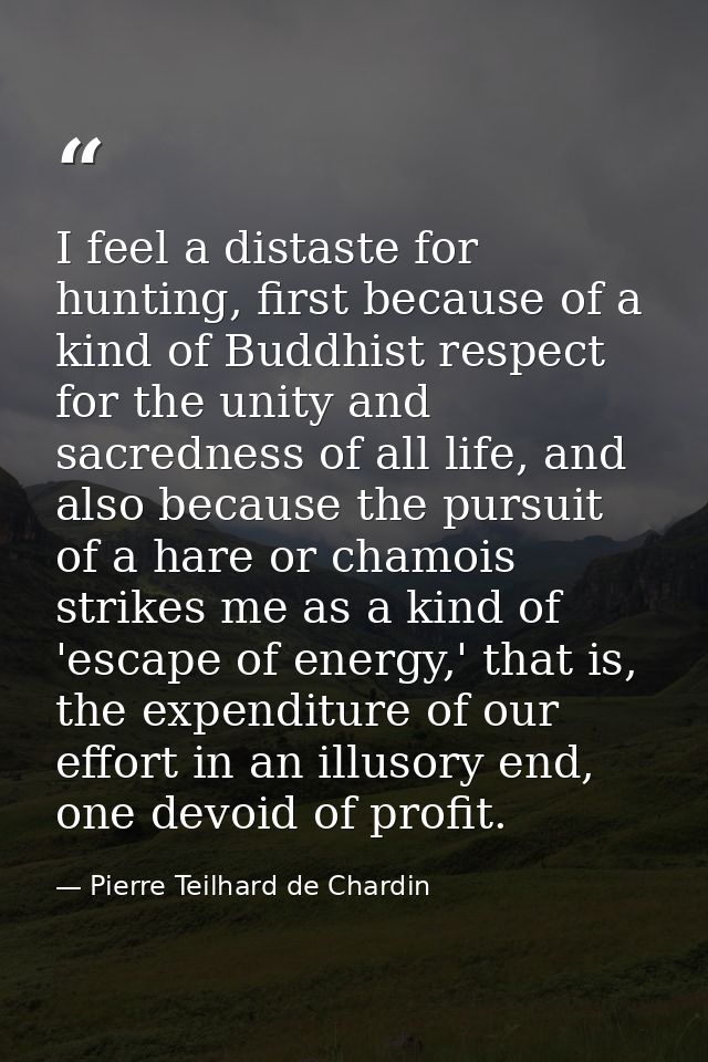 I feel a distaste for hunting, first because of a kind of Buddhist respect for the unity and sacredness of all life, and — Pierre Teilhard de Chardin