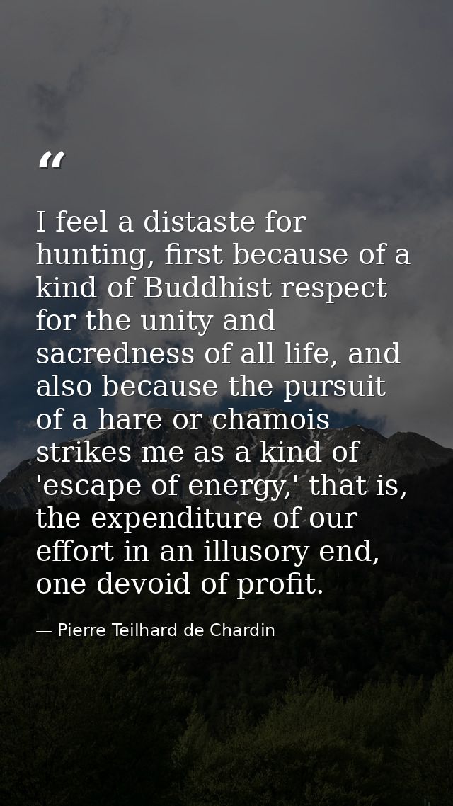 I feel a distaste for hunting, first because of a kind of Buddhist respect for the unity and sacredness of all life, and — Pierre Teilhard de Chardin