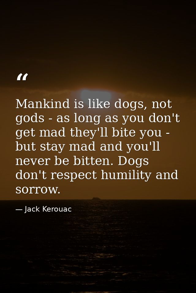 Mankind is like dogs, not gods - as long as you don't get mad they'll bite you - but stay mad and you'll never be bitten — Jack Kerouac