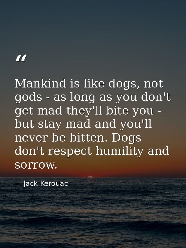 Mankind is like dogs, not gods - as long as you don't get mad they'll bite you - but stay mad and you'll never be bitten — Jack Kerouac