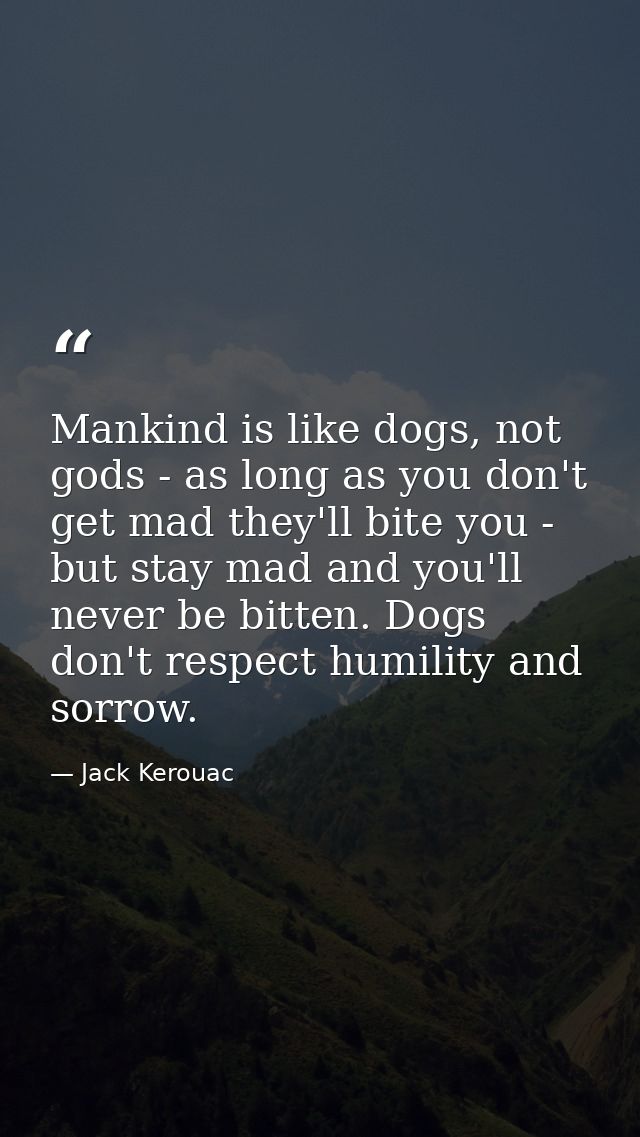 Mankind is like dogs, not gods - as long as you don't get mad they'll bite you - but stay mad and you'll never be bitten — Jack Kerouac