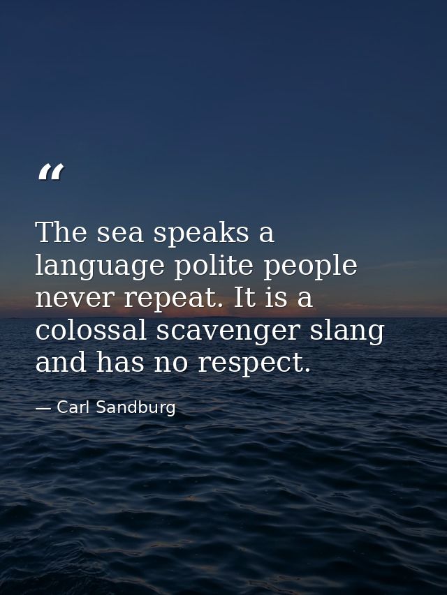 The sea speaks a language polite people never repeat. It is a colossal scavenger slang and has no respect. — Carl Sandburg
