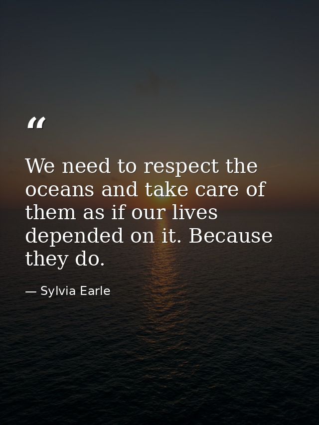 We need to respect the oceans and take care of them as if our lives depended on it. Because they do. — Sylvia Earle