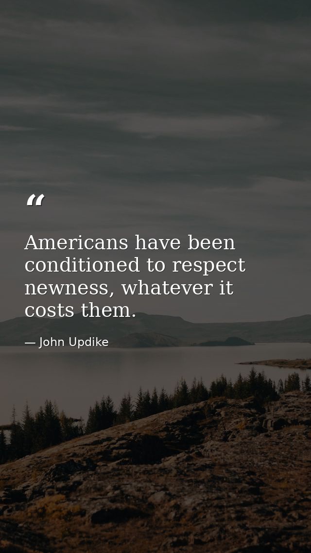 Americans have been conditioned to respect newness, whatever it costs them. — John Updike