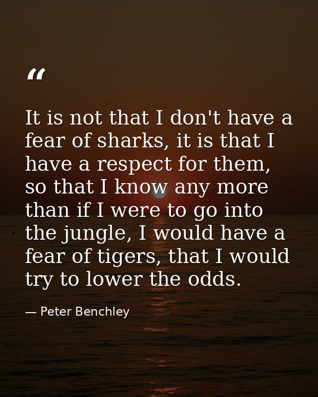 It is not that I don't have a fear of sharks, it is that I have a respect for them, so that I know any more than if I we — Peter Benchley