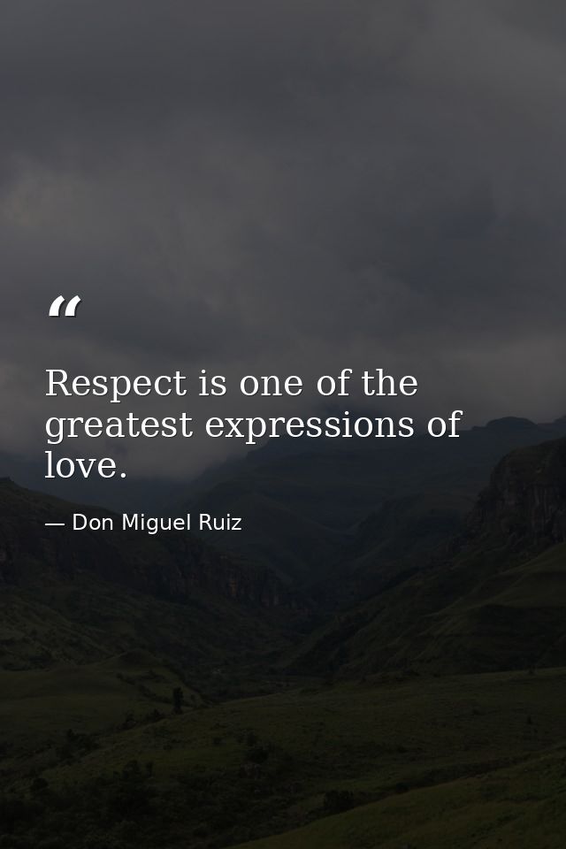 Respect is one of the greatest expressions of love. — Don Miguel Ruiz