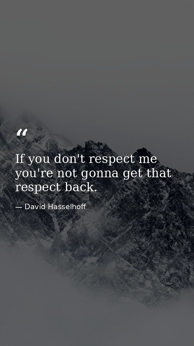 If you don't respect me you're not gonna get that respect back. — David Hasselhoff