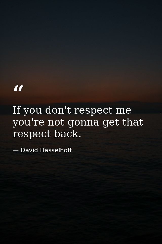 If you don't respect me you're not gonna get that respect back. — David Hasselhoff