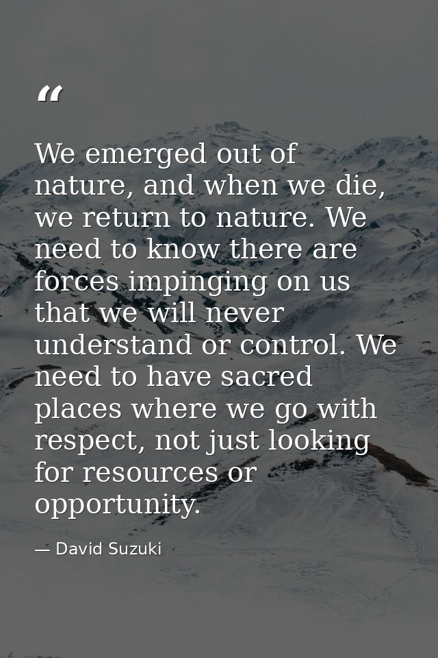 We emerged out of nature, and when we die, we return to nature. We need to know there are forces impinging on us that we — David Suzuki