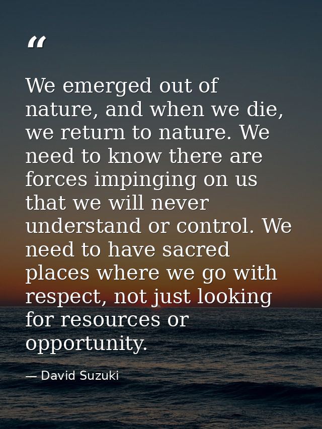 We emerged out of nature, and when we die, we return to nature. We need to know there are forces impinging on us that we — David Suzuki