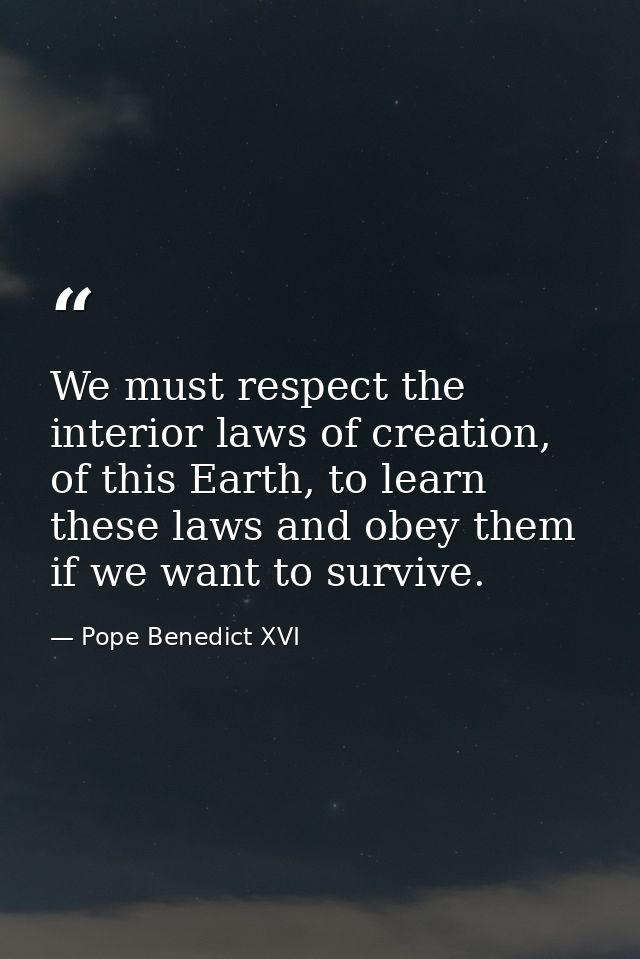 We must respect the interior laws of creation, of this Earth, to learn these laws and obey them if we want to survive. — Pope Benedict XVI