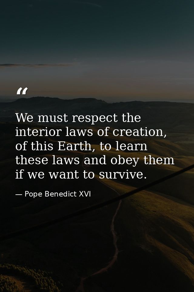 We must respect the interior laws of creation, of this Earth, to learn these laws and obey them if we want to survive. — Pope Benedict XVI