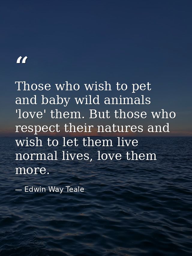 Those who wish to pet and baby wild animals 'love' them. But those who respect their natures and wish to let them live n — Edwin Way Teale