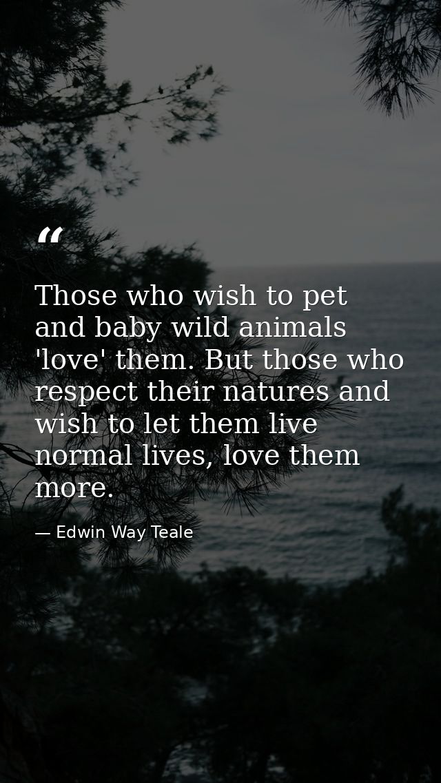 Those who wish to pet and baby wild animals 'love' them. But those who respect their natures and wish to let them live n — Edwin Way Teale