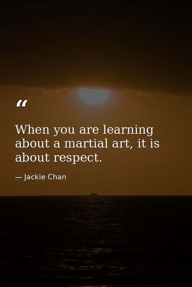 When you are learning about a martial art, it is about respect. — Jackie Chan