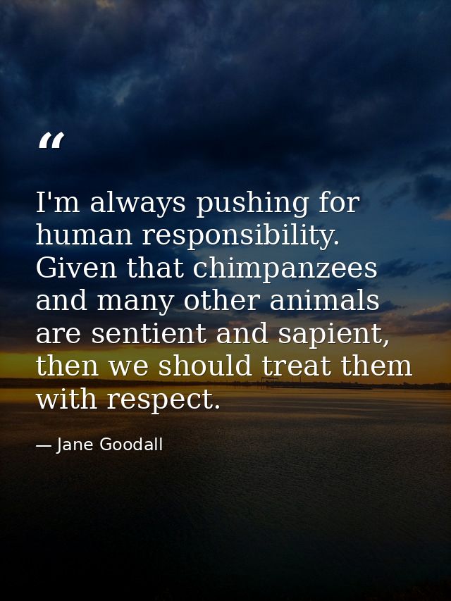 I'm always pushing for human responsibility. Given that chimpanzees and many other animals are sentient and sapient, the — Jane Goodall