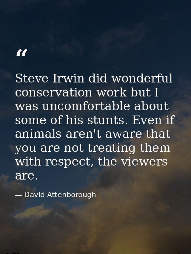Steve Irwin did wonderful conservation work but I was uncomfortable about some of his stunts. Even if animals aren't awa — David Attenborough