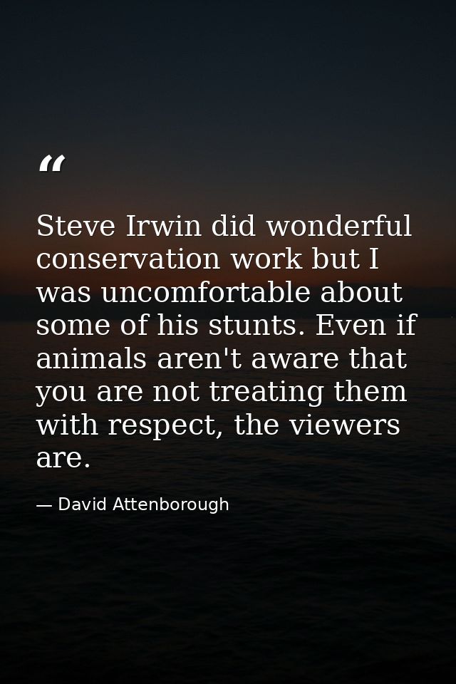 Steve Irwin did wonderful conservation work but I was uncomfortable about some of his stunts. Even if animals aren't awa — David Attenborough