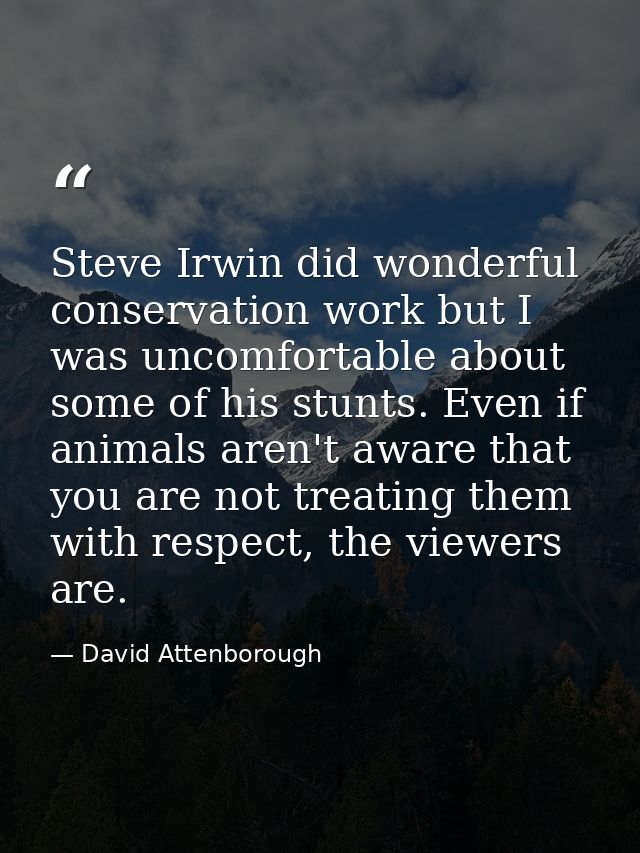 Steve Irwin did wonderful conservation work but I was uncomfortable about some of his stunts. Even if animals aren't awa — David Attenborough