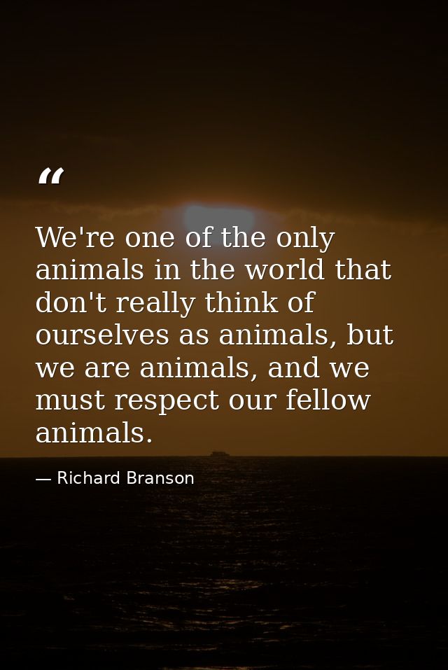 We're one of the only animals in the world that don't really think of ourselves as animals, but we are animals, and we m — Richard Branson