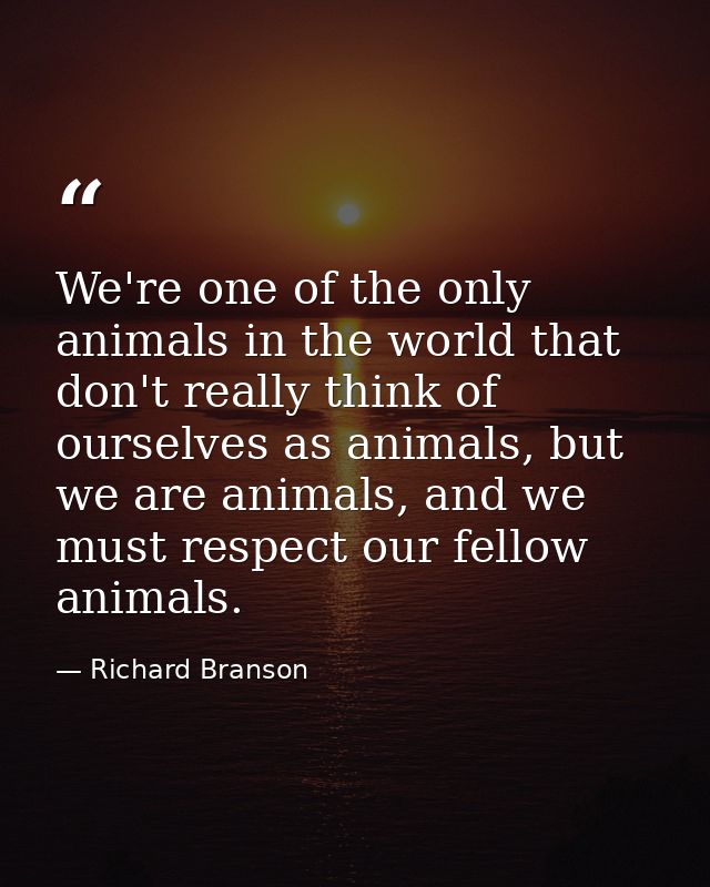 We're one of the only animals in the world that don't really think of ourselves as animals, but we are animals, and we m — Richard Branson