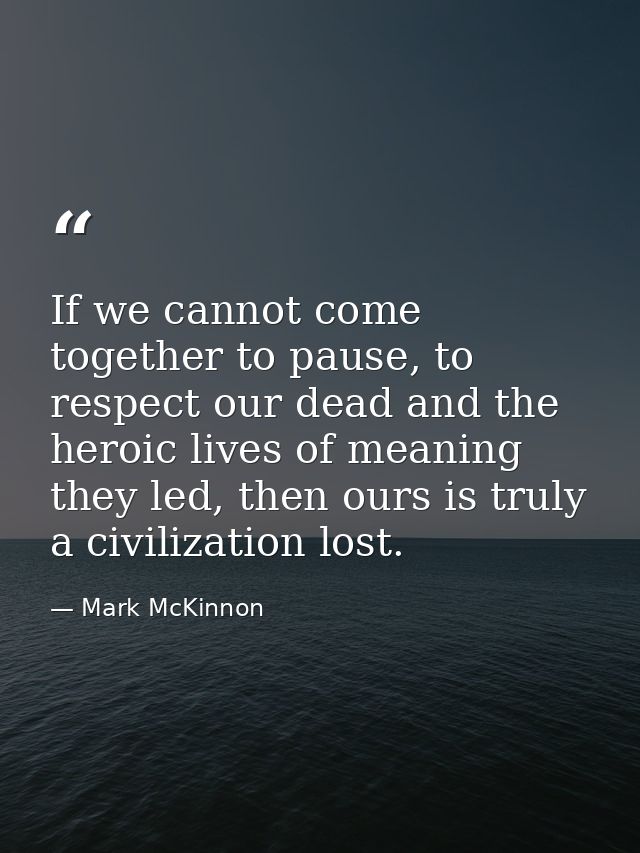 If we cannot come together to pause, to respect our dead and the heroic lives of meaning they led, then ours is truly a  — Mark McKinnon