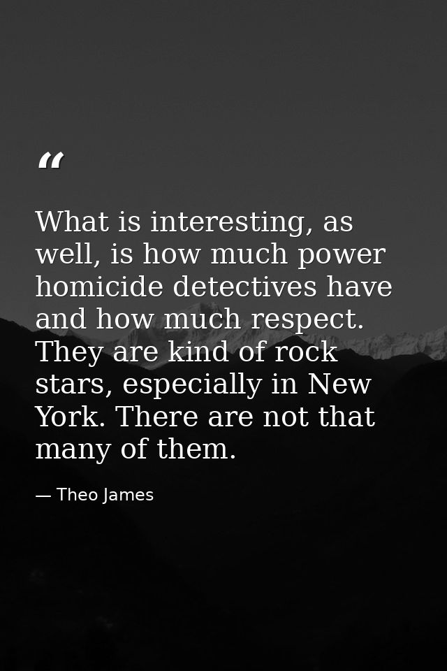 What is interesting, as well, is how much power homicide detectives have and how much respect. They are kind of rock sta — Theo James