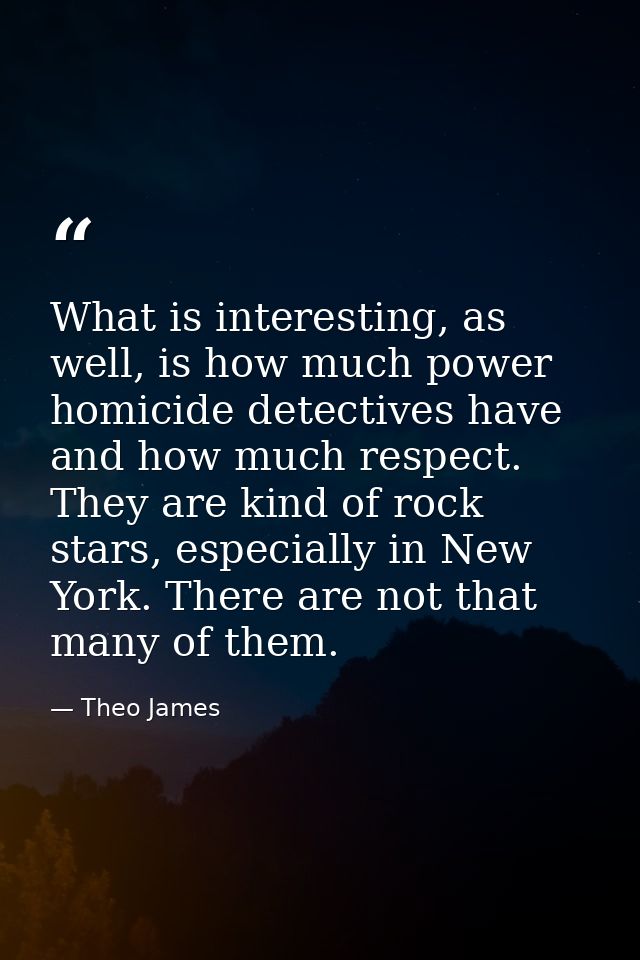 What is interesting, as well, is how much power homicide detectives have and how much respect. They are kind of rock sta — Theo James