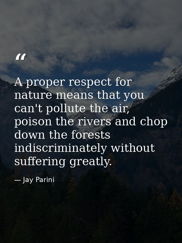 A proper respect for nature means that you can't pollute the air, poison the rivers and chop down the forests indiscrimi — Jay Parini