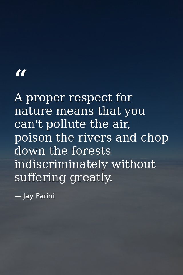 A proper respect for nature means that you can't pollute the air, poison the rivers and chop down the forests indiscrimi — Jay Parini