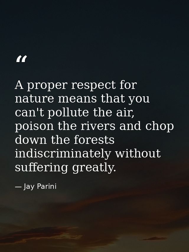 A proper respect for nature means that you can't pollute the air, poison the rivers and chop down the forests indiscrimi — Jay Parini