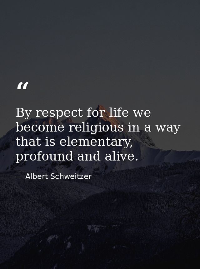 By respect for life we become religious in a way that is elementary, profound and alive. — Albert Schweitzer