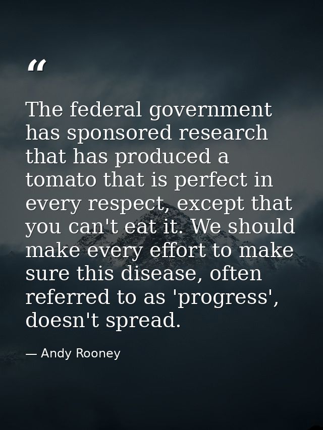 The federal government has sponsored research that has produced a tomato that is perfect in every respect, except that y — Andy Rooney