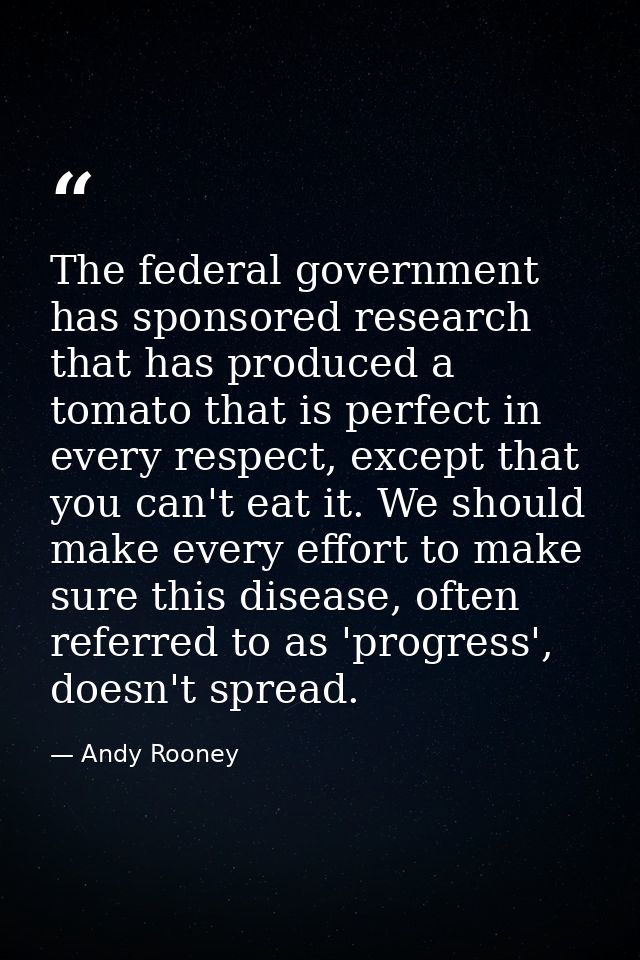 The federal government has sponsored research that has produced a tomato that is perfect in every respect, except that y — Andy Rooney