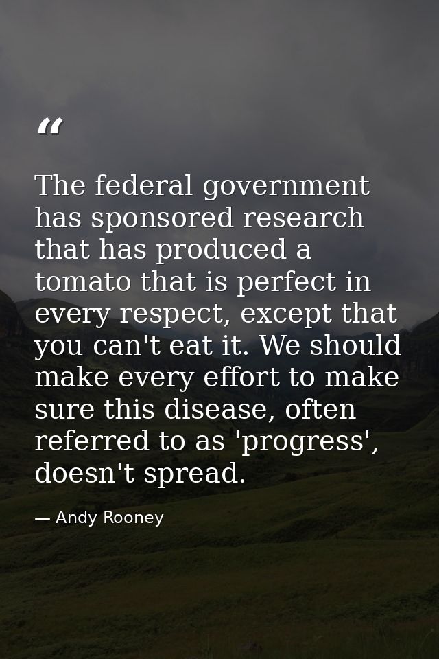 The federal government has sponsored research that has produced a tomato that is perfect in every respect, except that y — Andy Rooney
