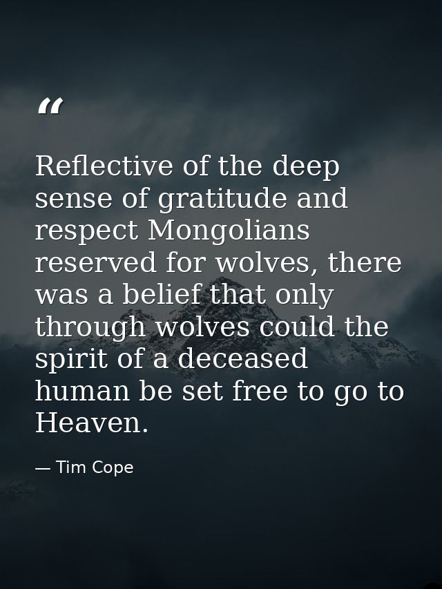 Reflective of the deep sense of gratitude and respect Mongolians reserved for wolves, there was a belief that only throu — Tim Cope